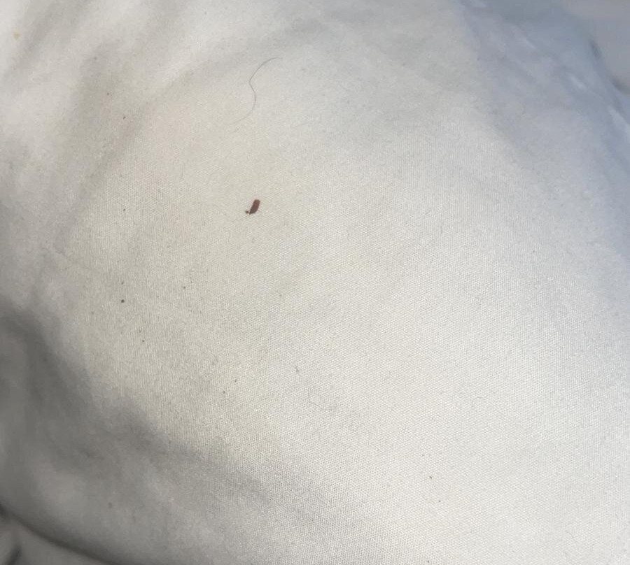 Divi Southwinds Beach Resort主图