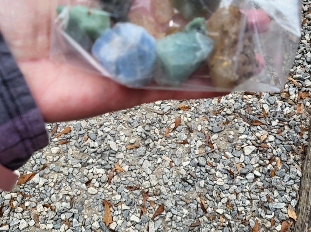 Crisson Gold Mine-达洛尼加必去景点