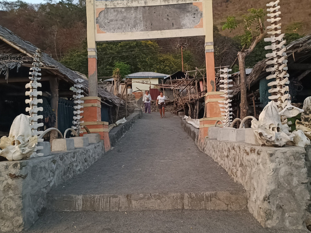 Lamalera Village景点图片