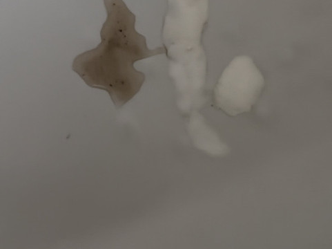 梳邦首脑酒店主图