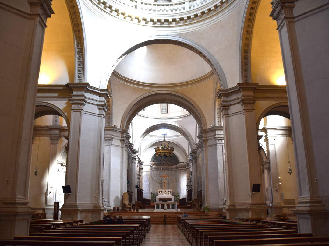 Cattedrale di San Pietro Apostolo景点图片