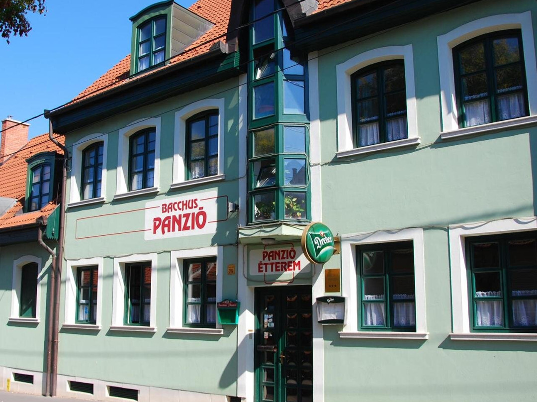 Bacchus Hotel Panzio