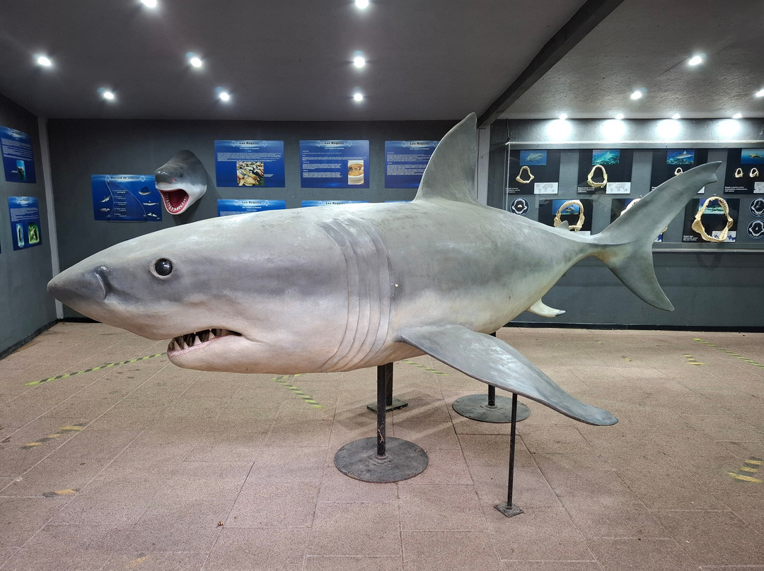 Aquarium d'Amneville景点图片