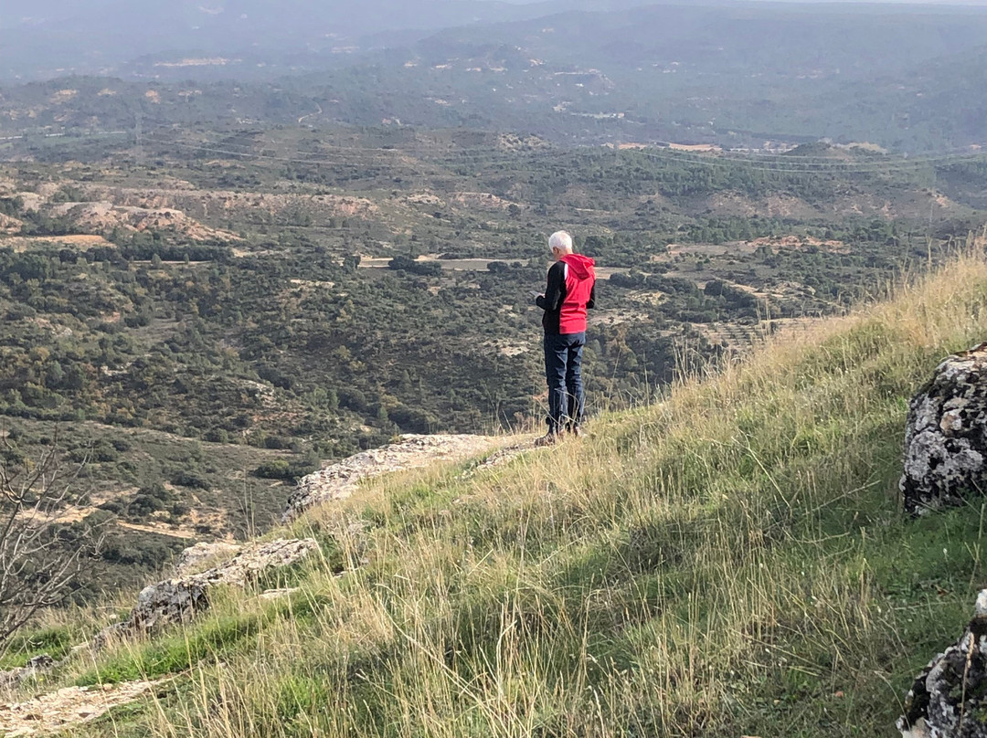 Real Balneario Carlos III主图