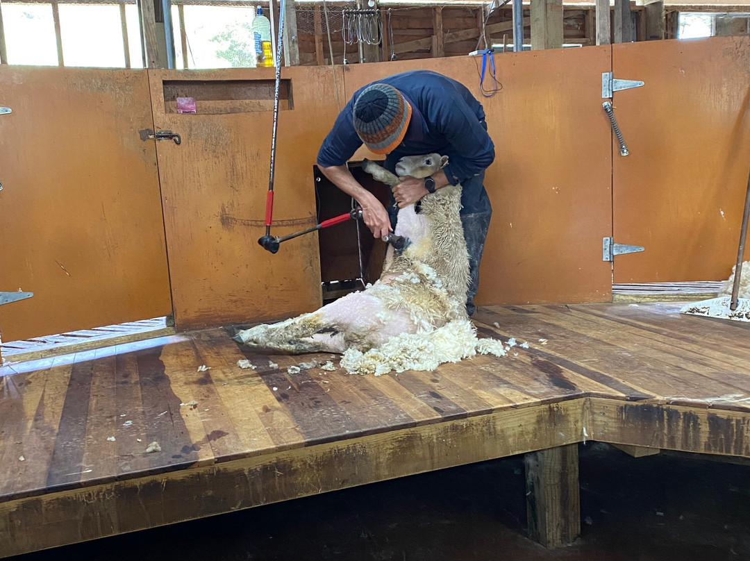 Rangitikei Farmstay主图