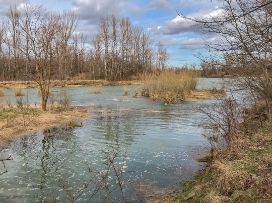 Trasa Edukacji Ekologicznej-Porabka必去景点