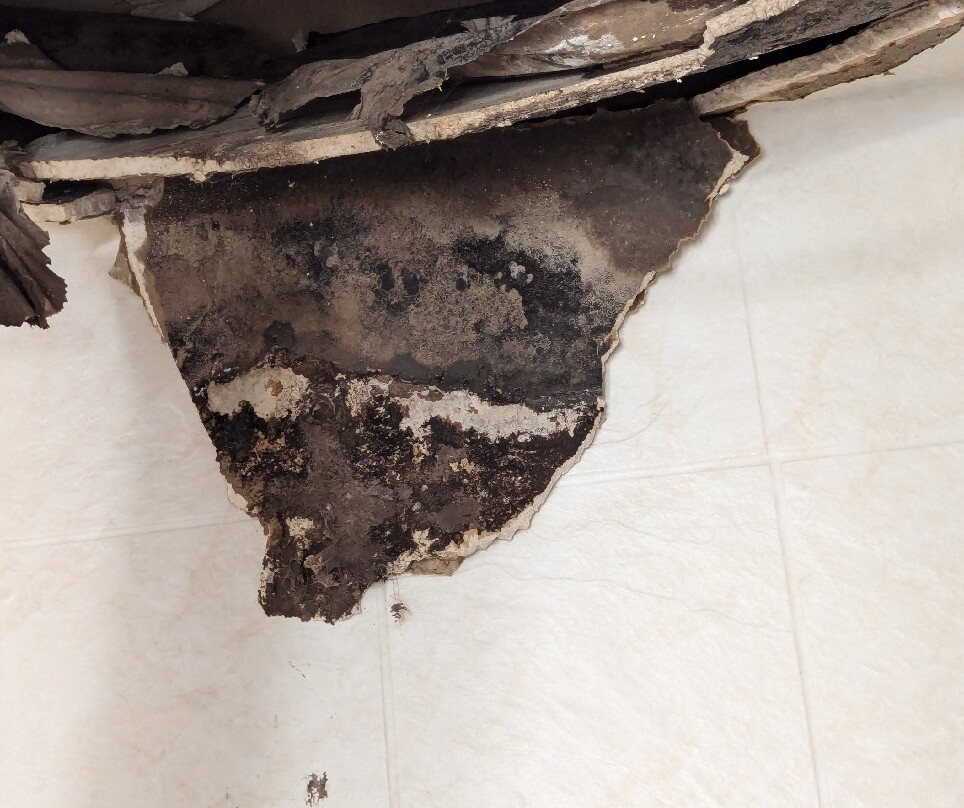 弗雷特拉昆塔酒店主图