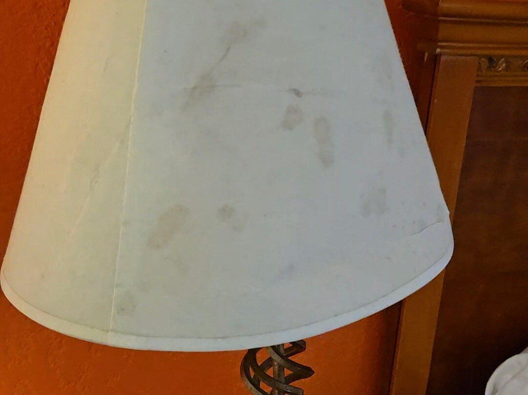 Baymont by Wyndham Springfield主图