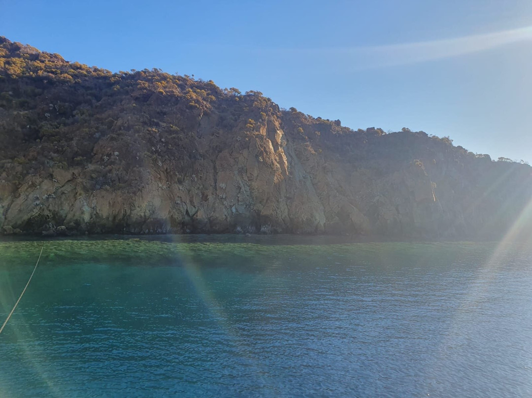Kamelya Adası (kameriye)景点图片