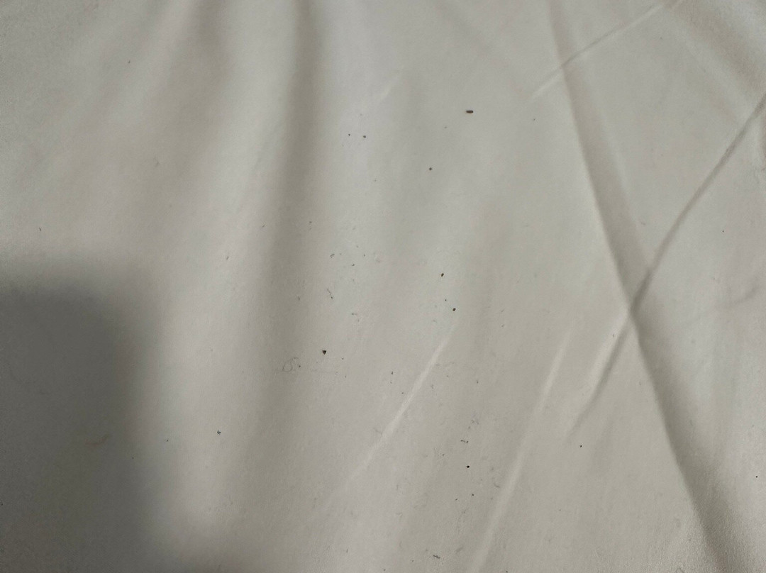 Hotel Colorado Lugano主图