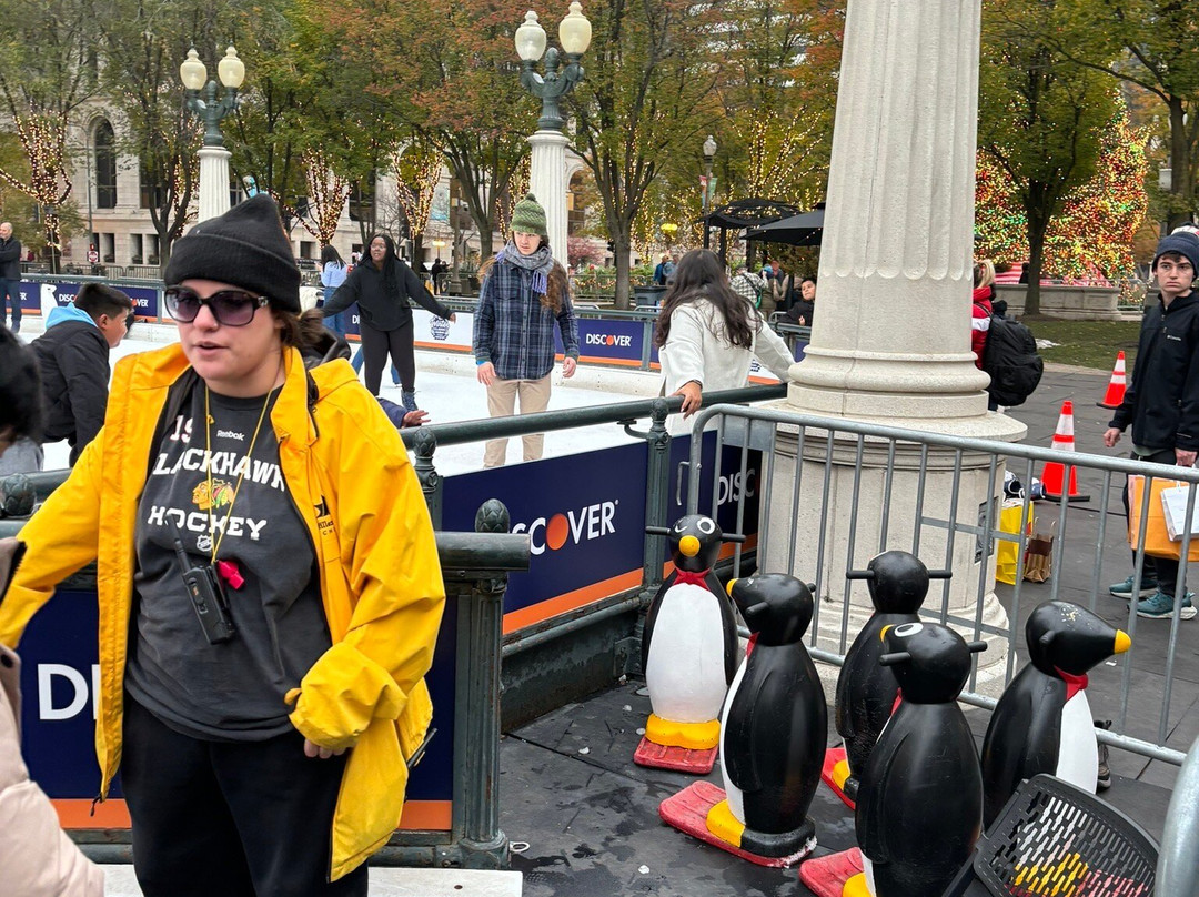 麦琪戴利公园-芝加哥必去景点