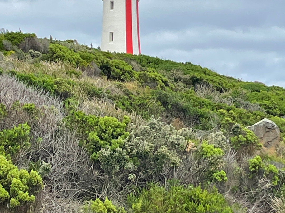 Mersey Bluff Lighthouse-Devonport必去景点