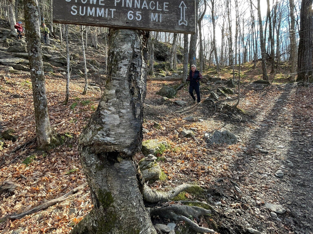 Stowe Pinnacle-斯托必去景点