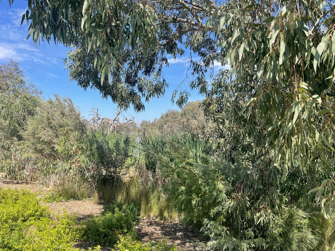 Melton Botanic Garden景点图片