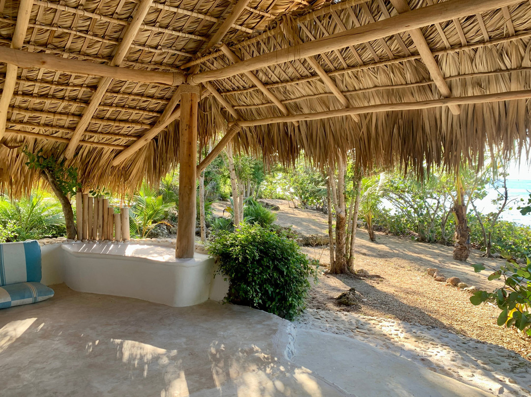 Ki-ra Holistic Living主图