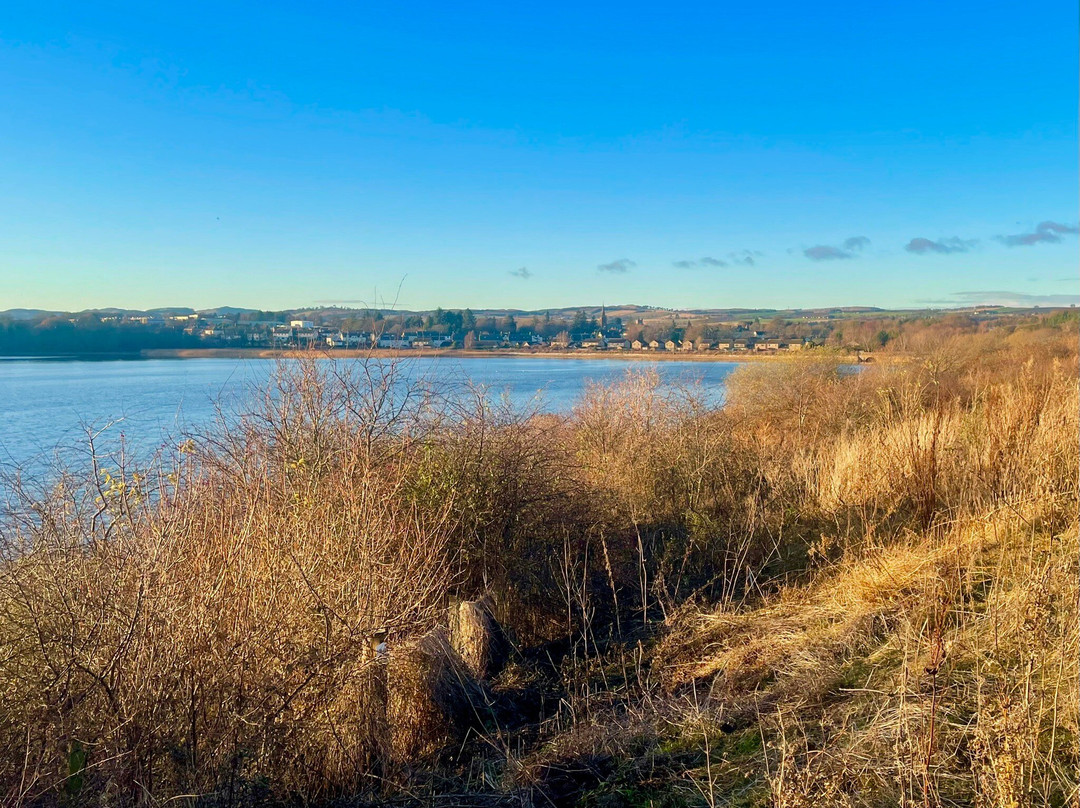 Riverside Nature Park-敦提必去景点
