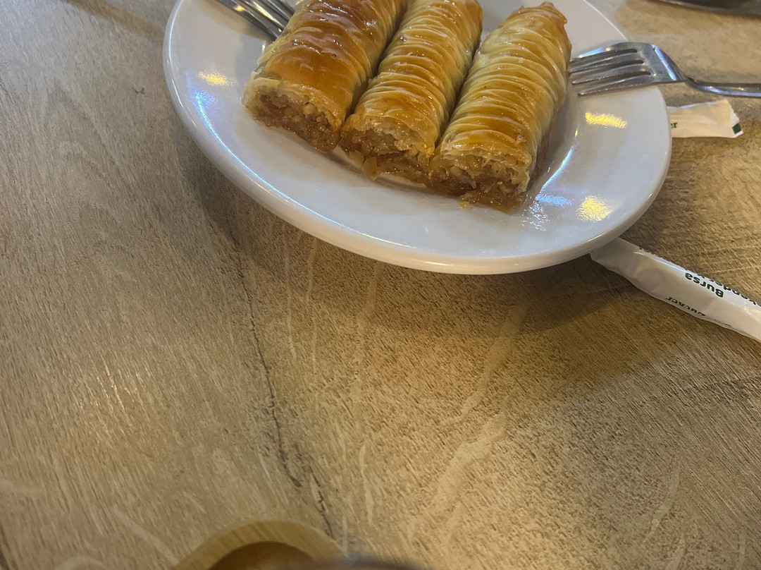 Elazığ Bursa İskender Kebapçısı