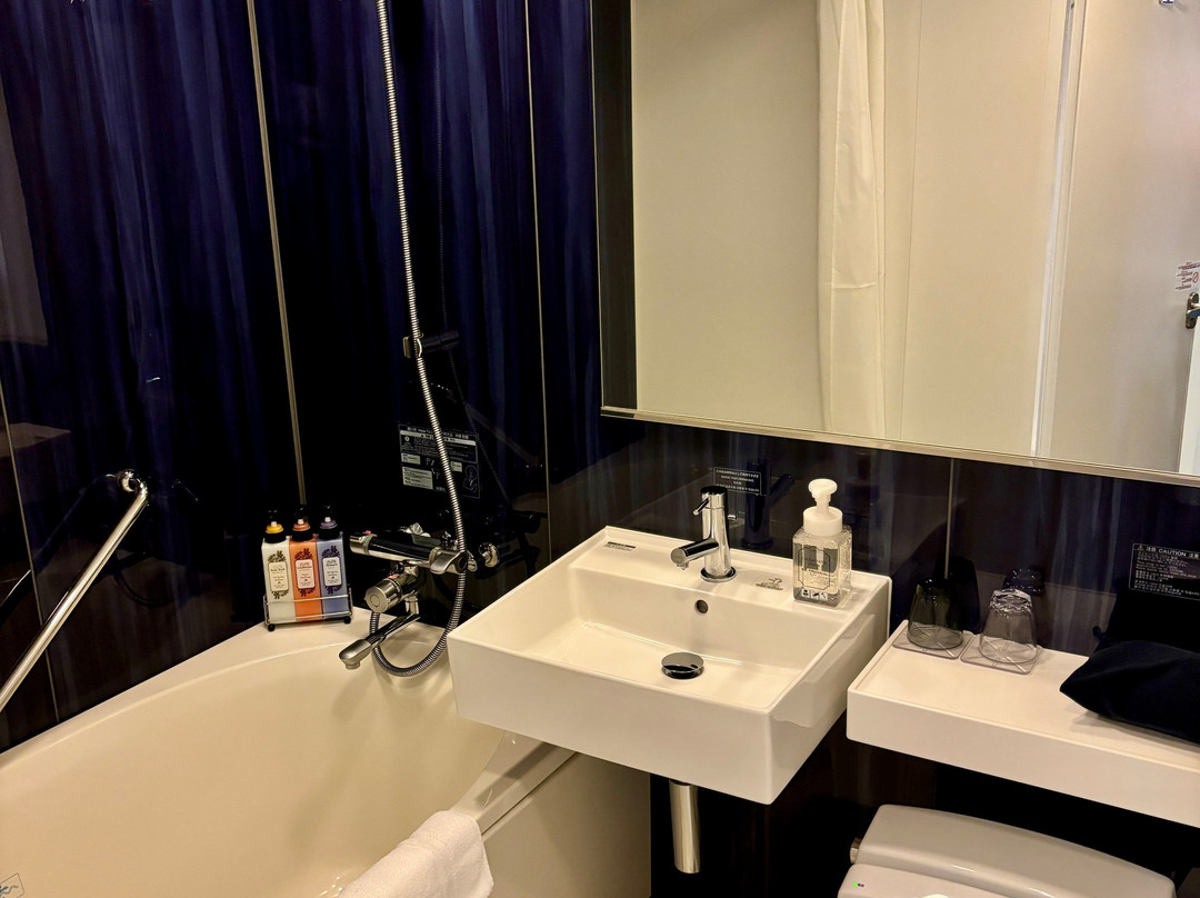 Daiwa Roynet Hotel Shimbashi主图