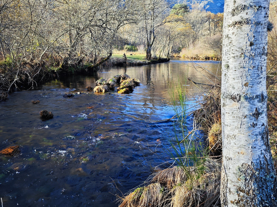 Hotel Don Pepe主图