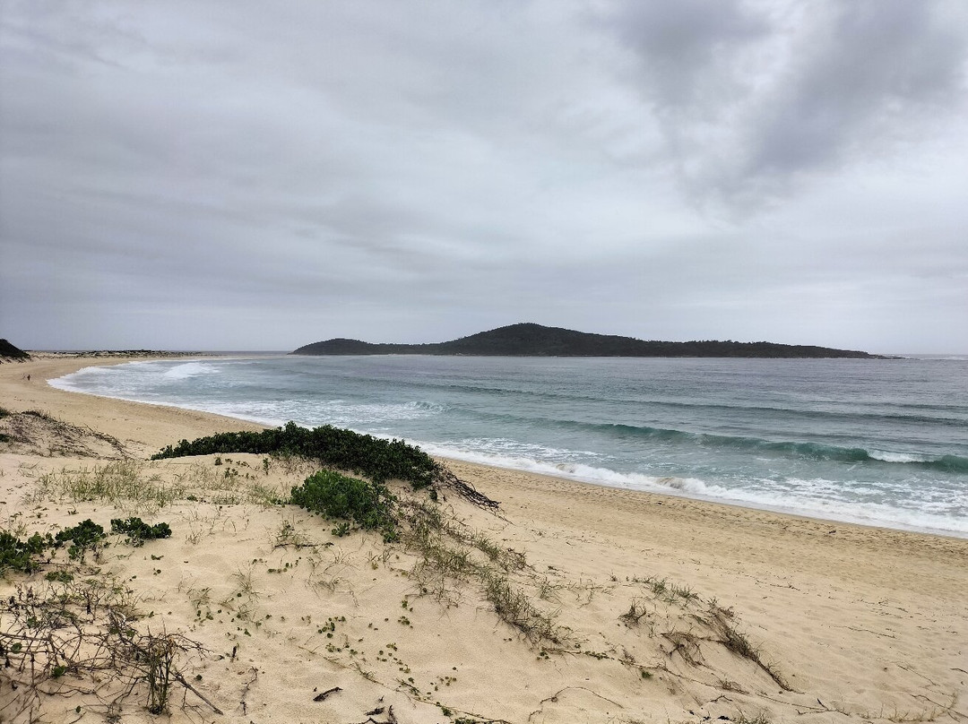 Fingal Bay Beach景点图片