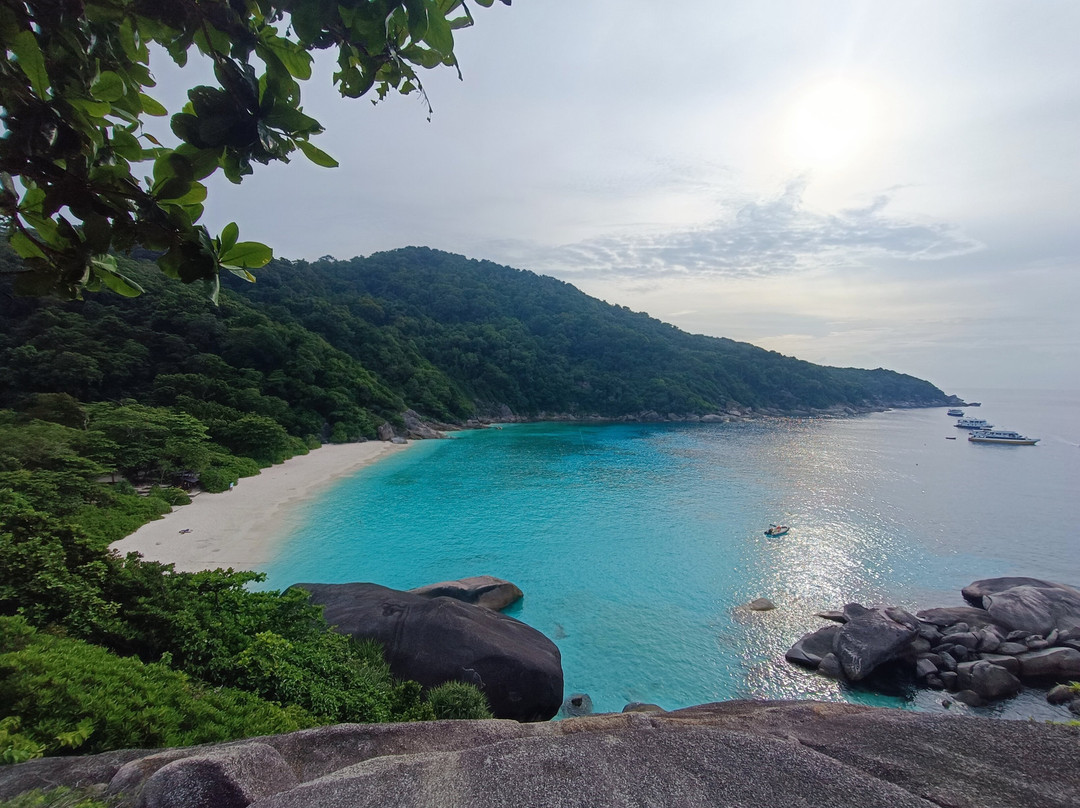 Big Blue Diving Khao Lak-拉克山必去景点