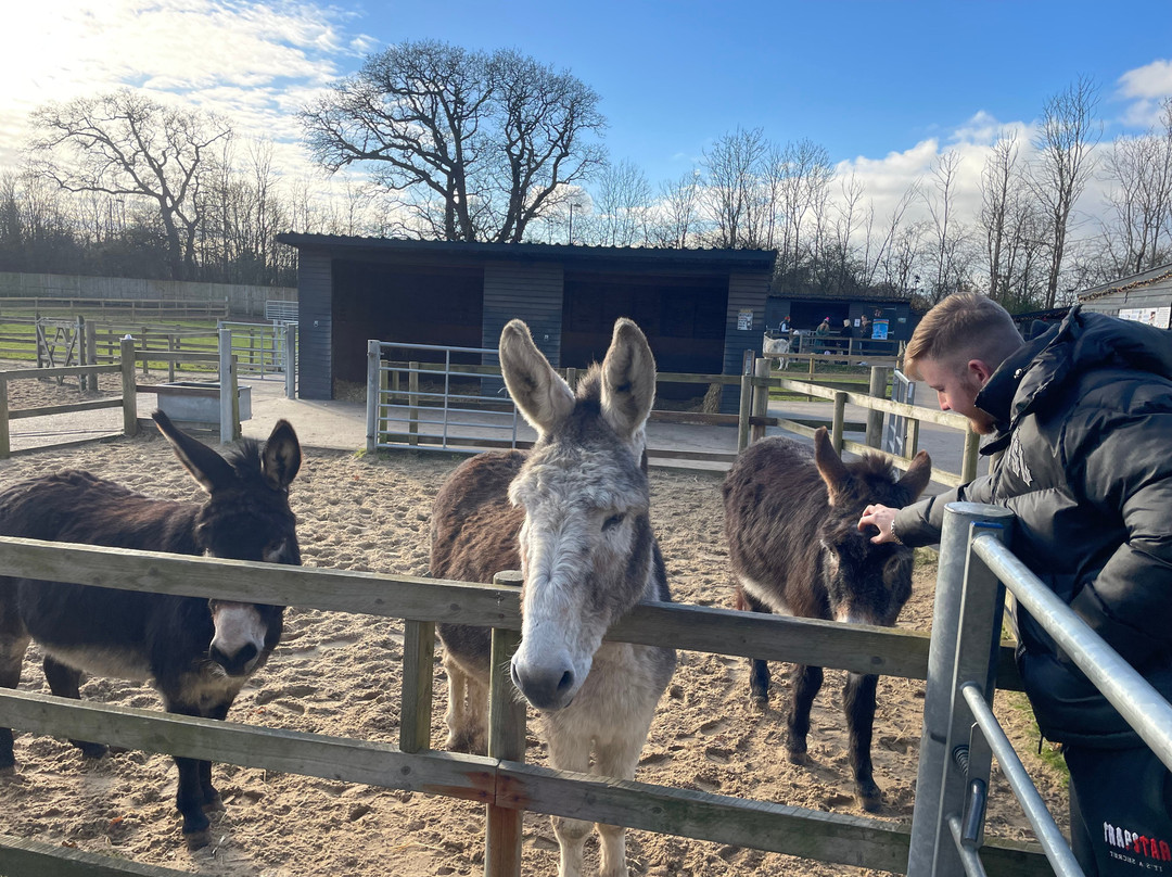 Hayling Island Donkey Sanctuary景点图片