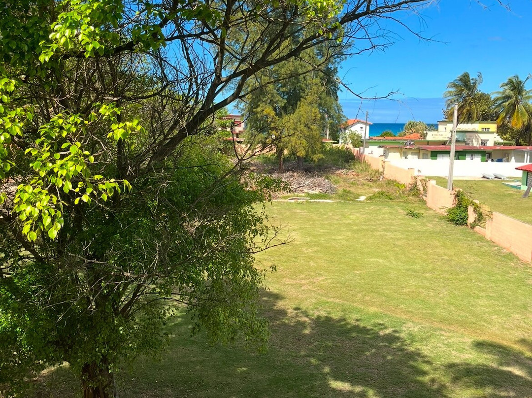 Hotel Roc Barlovento主图