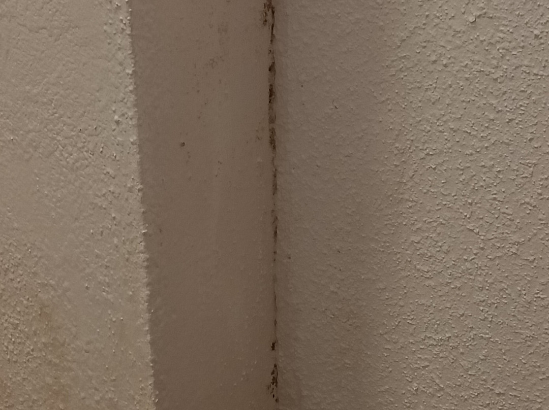 Hotel Restaurant Panorama主图