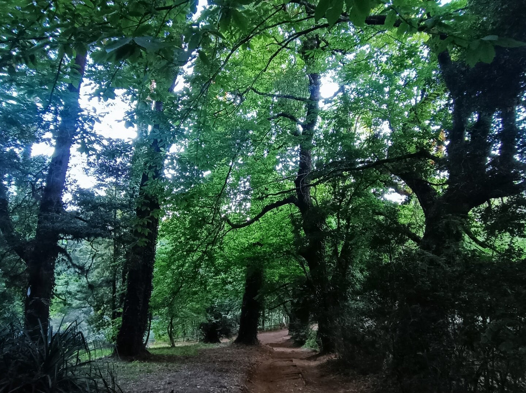 Jardin Botanico de la Universidad Austral de Chile-瓦尔迪维亚必去景点