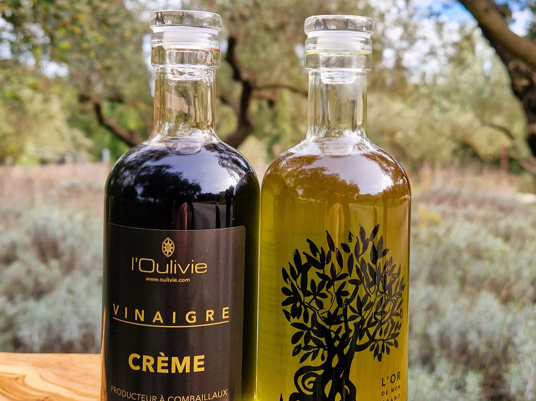 Domaine De L'oulivie景点图片