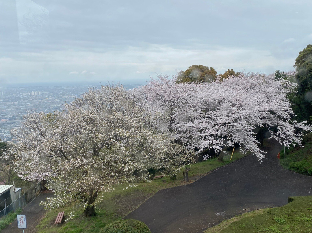 Iwamotoyama Park景点图片