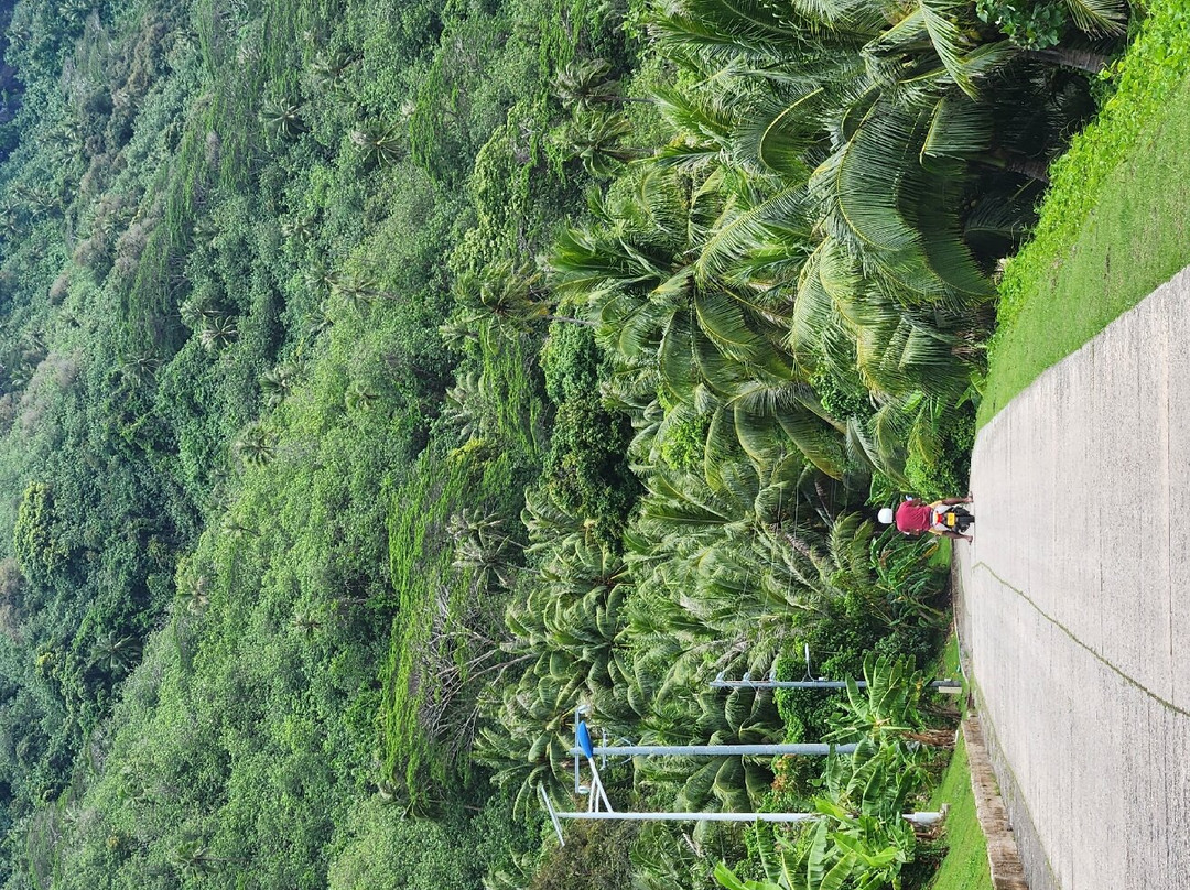 Pension Teheimana主图