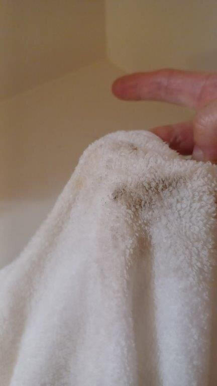 The Ship Inn Hotel主图