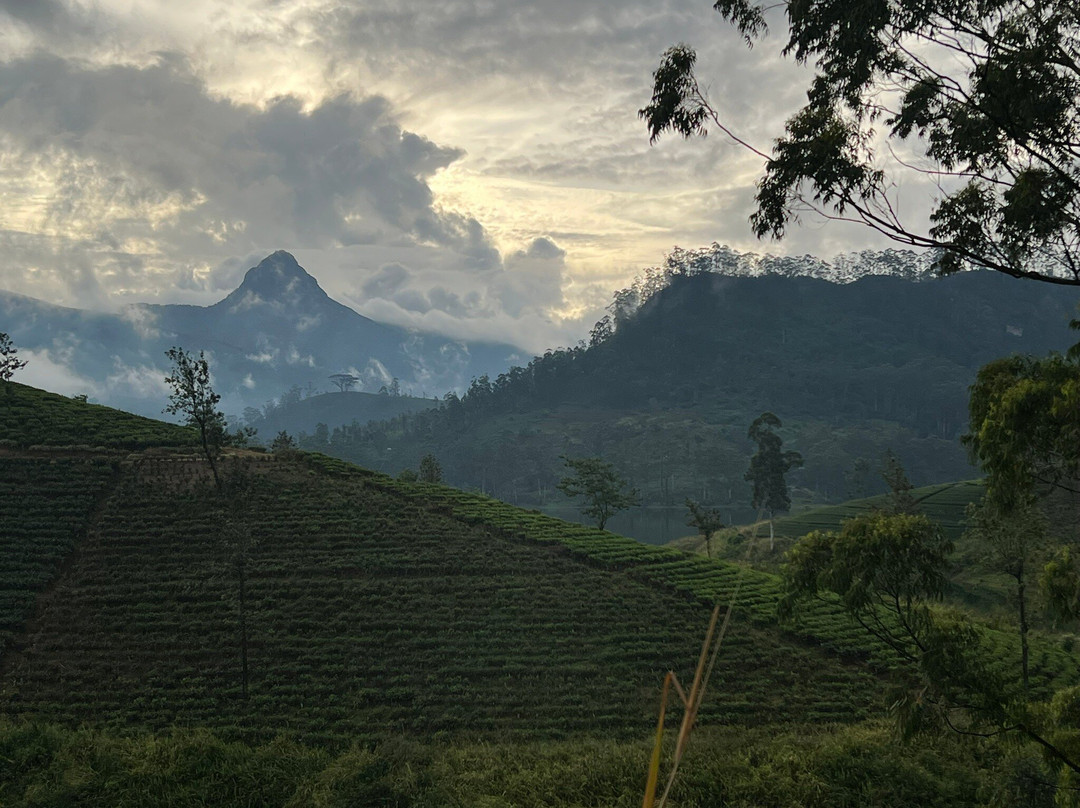 Green Island Tours-拜蒂克洛必去景点