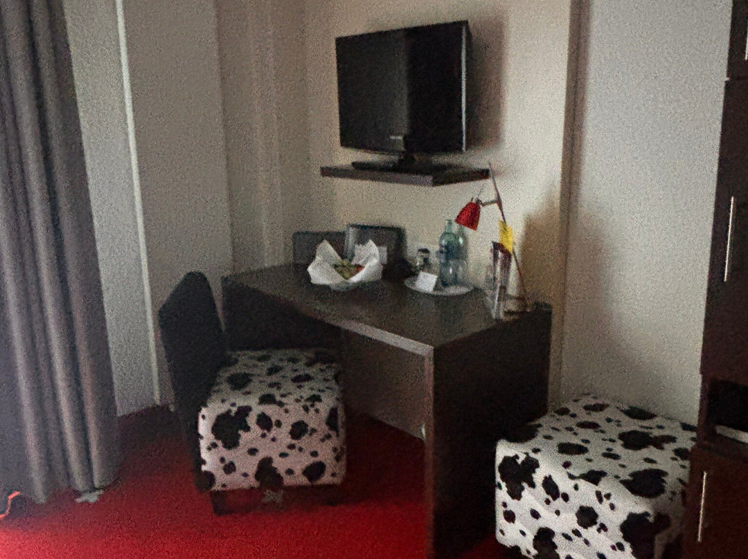 Hotel Schweizer Hof主图