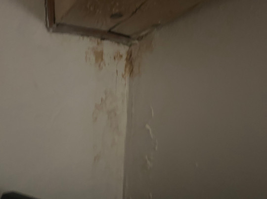 Hotel Alpen Andalo主图