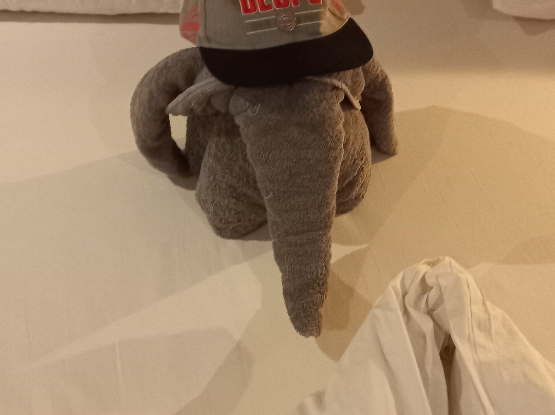 Cook's Club El Gouna主图