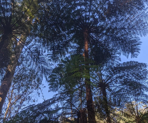 Madeira Insideout - Private 4x4 Jeep Tours-马德拉群岛必去景点