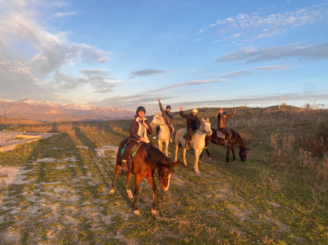 Horse Riding at Pippa's Paddock景点图片