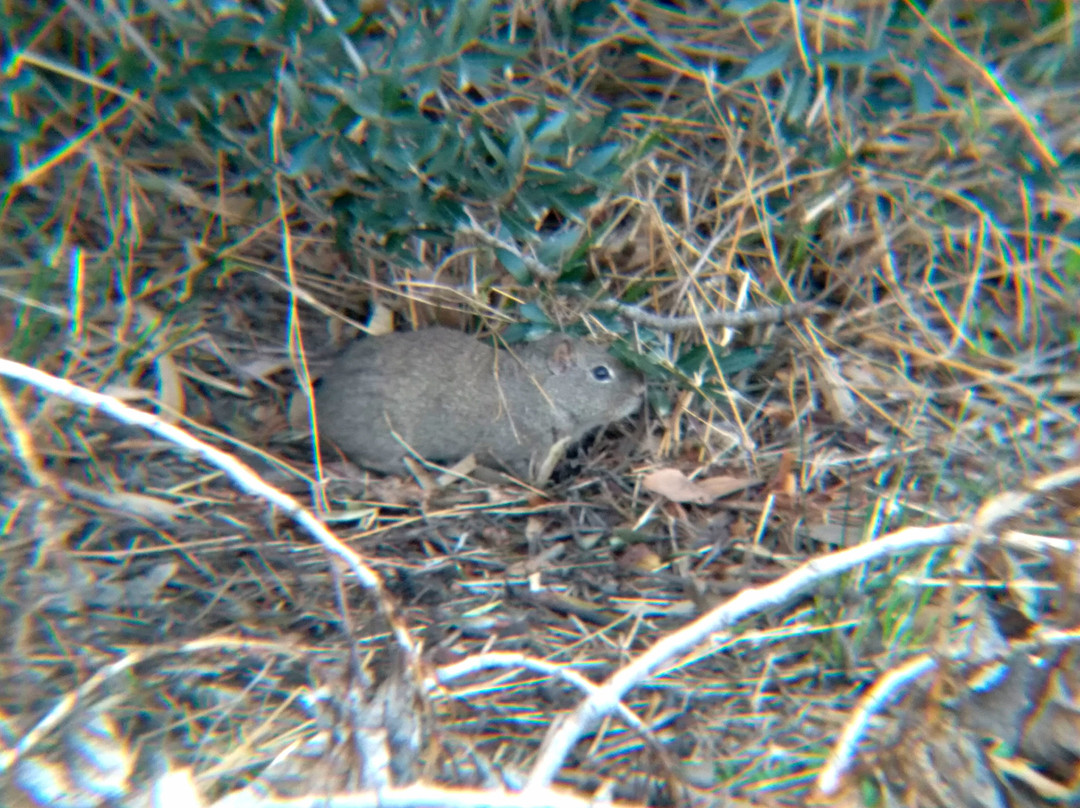 Parque de Mayo-Bahia Blanca必去景点