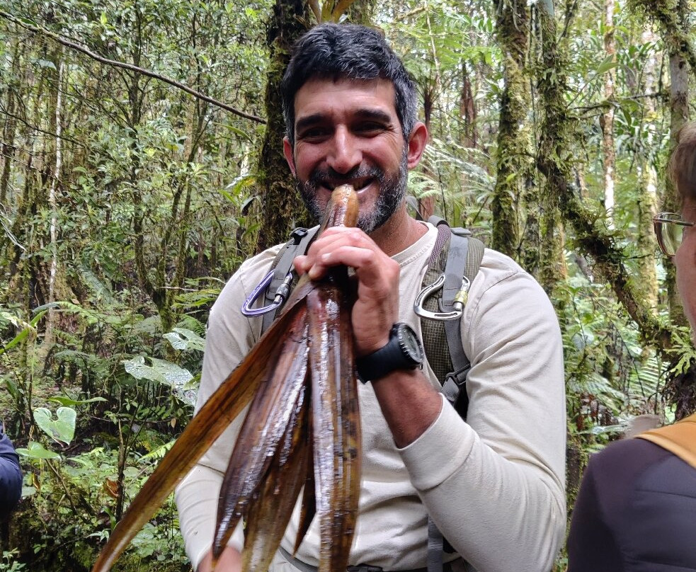 Ulcumano Ecolodge-奥克萨潘帕必去景点