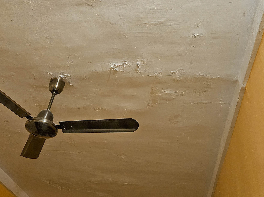 Ghanerao Royal Castle Ranakpur主图