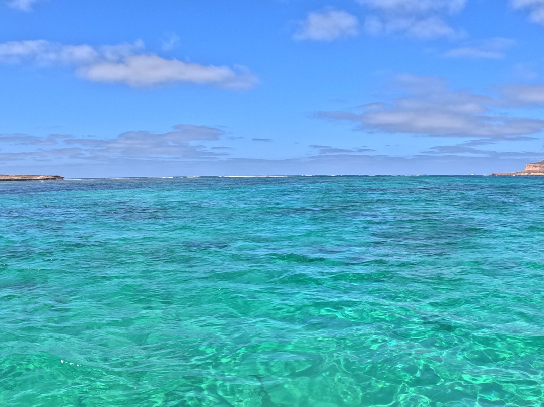 Baird Bay Experience景点图片