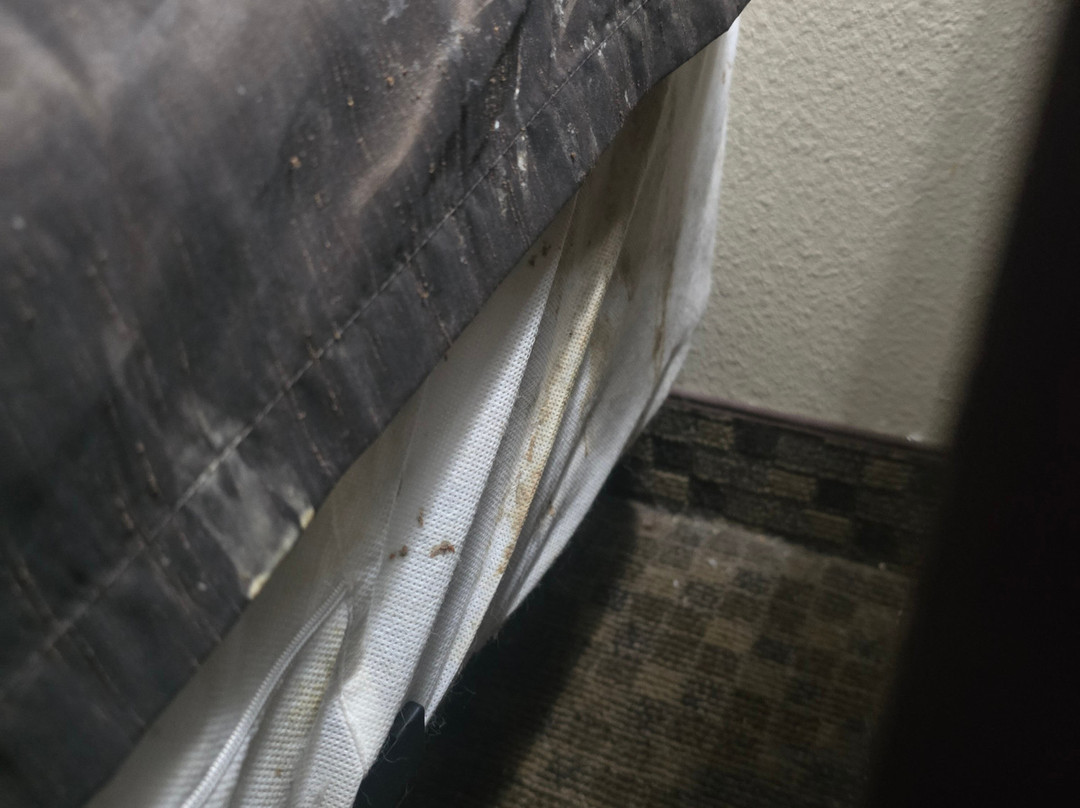 芝加哥麦特森别墅酒店主图