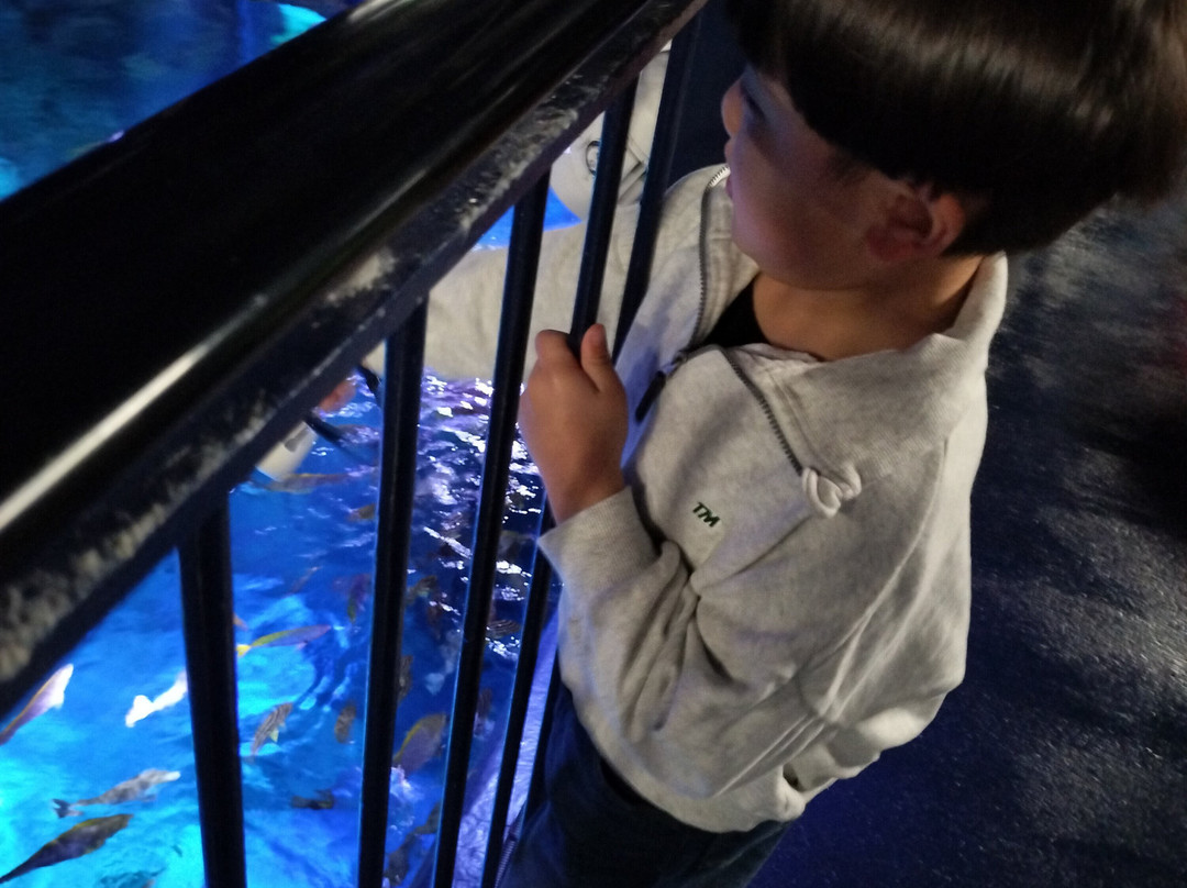 SEA LIFE Nagoya-名古屋市必去景点