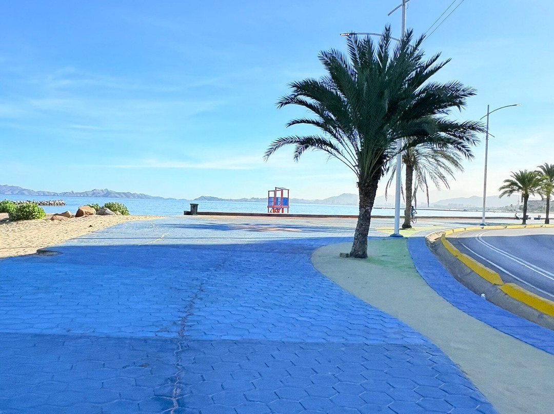 Playa Lido景点图片