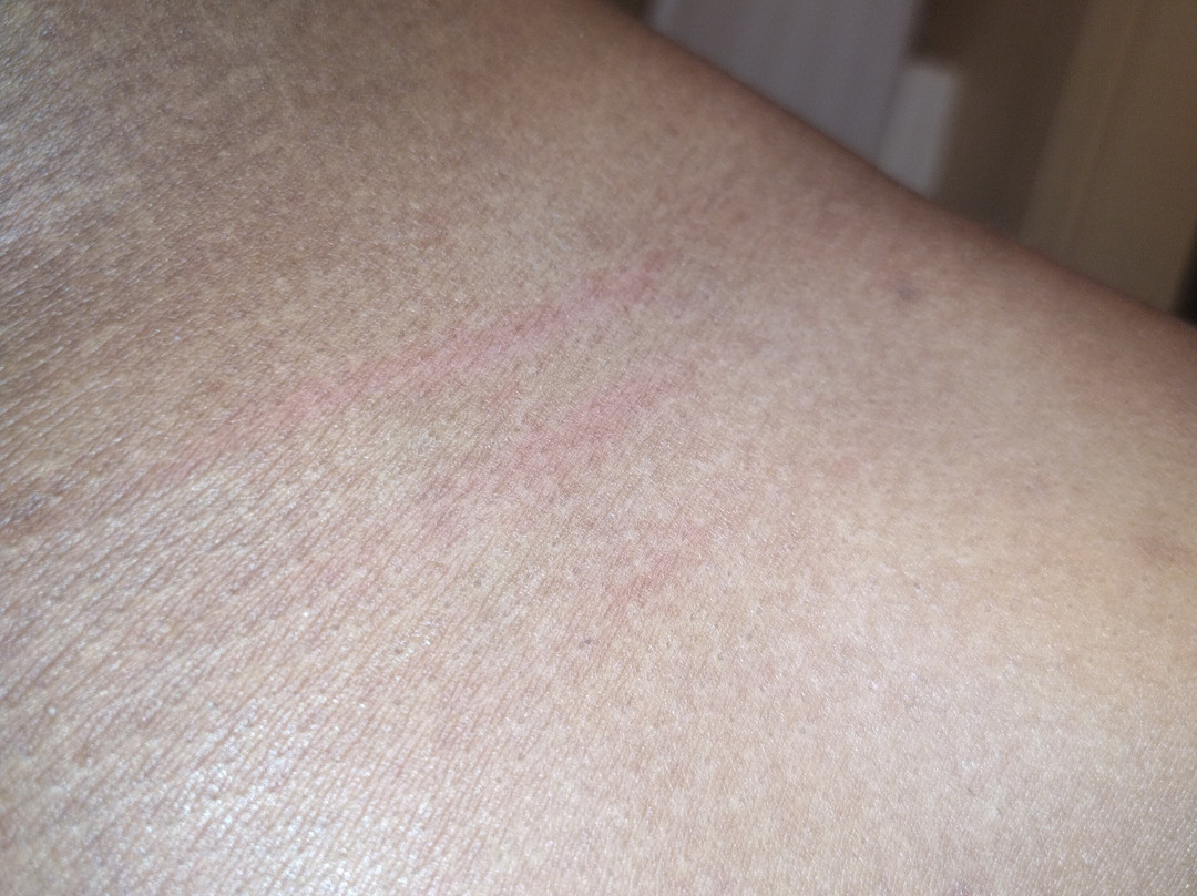 Extended Stay America - Grand Rapids - Kentwood主图