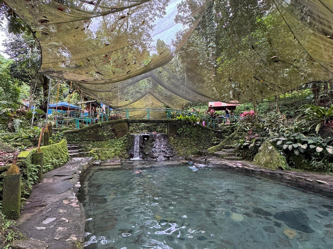 Ardent Hot Springs-曼巴豪必去景点