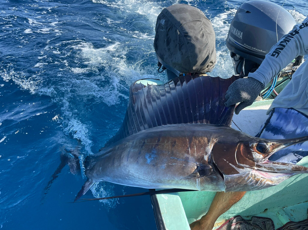 Fishing with Pulpo-瓦图尔科必去景点