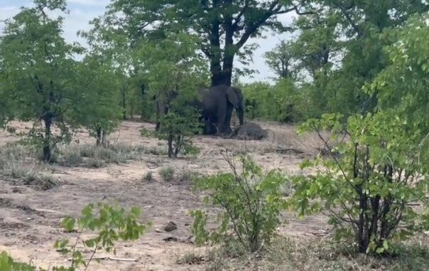 Virgio Tours-约翰内斯堡必去景点
